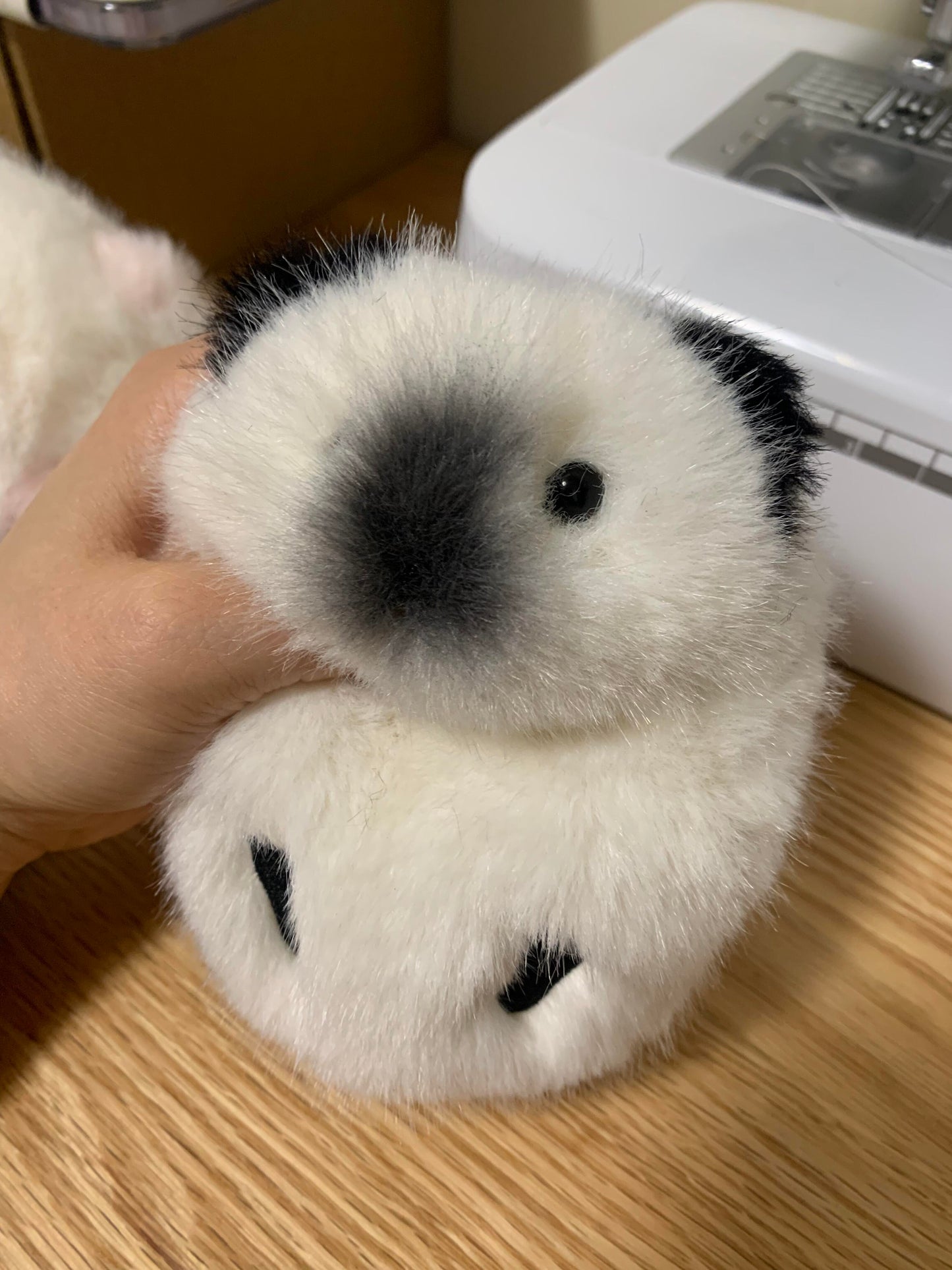 Cute Guinea Pig Plush Toy (Handmade)