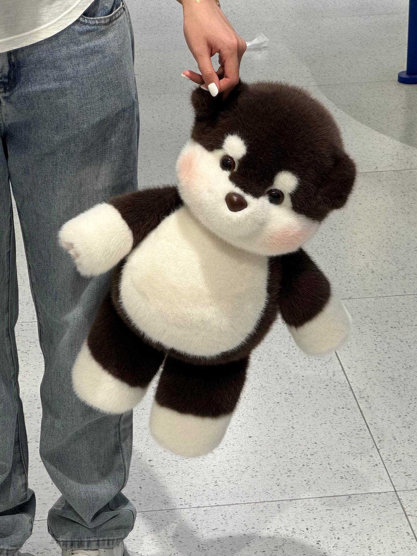 🐶 Puppy doll 🐶