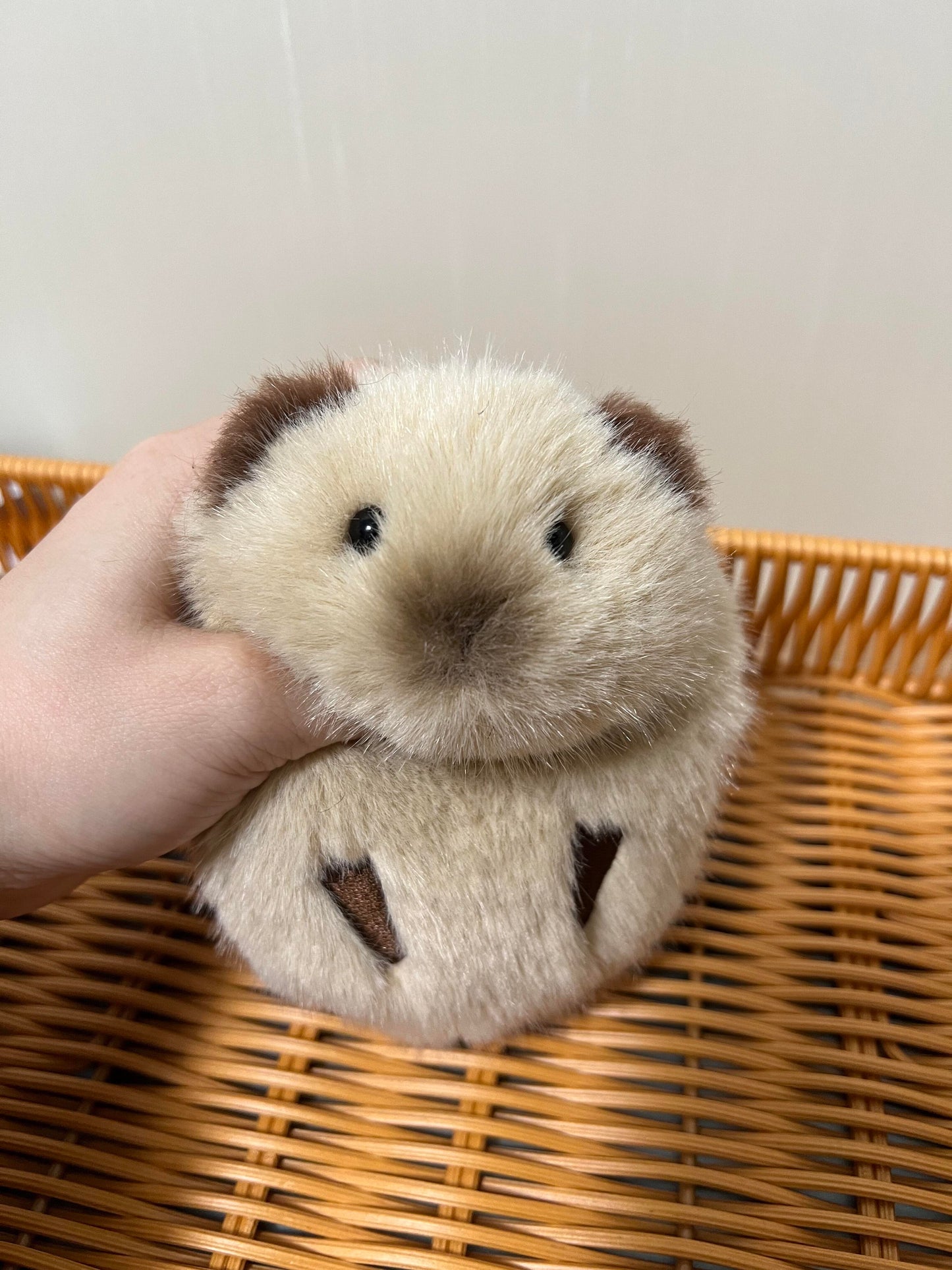 Cute Guinea Pig Plush Toy (Handmade)