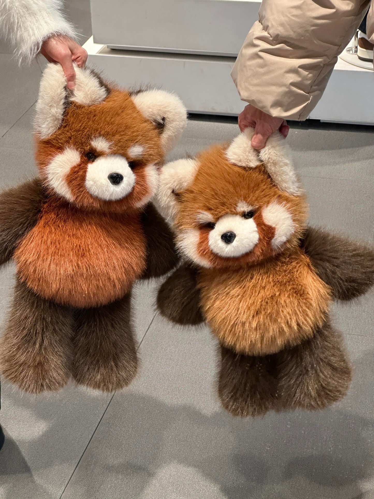 [Pre-orders]  Red Panda Fluffy 🐼🤎