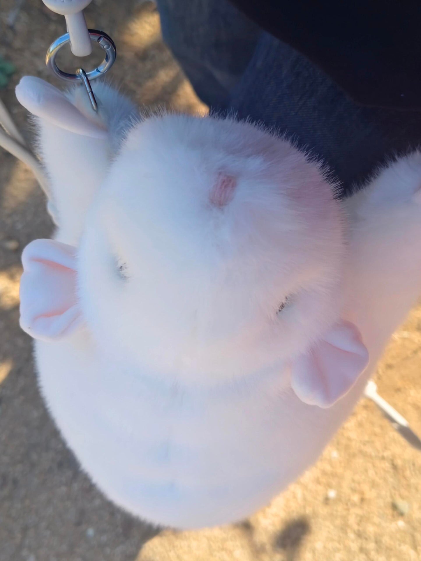 🧸 Soft Fufu Simulated Fancy Rat - A Handcrafted Item