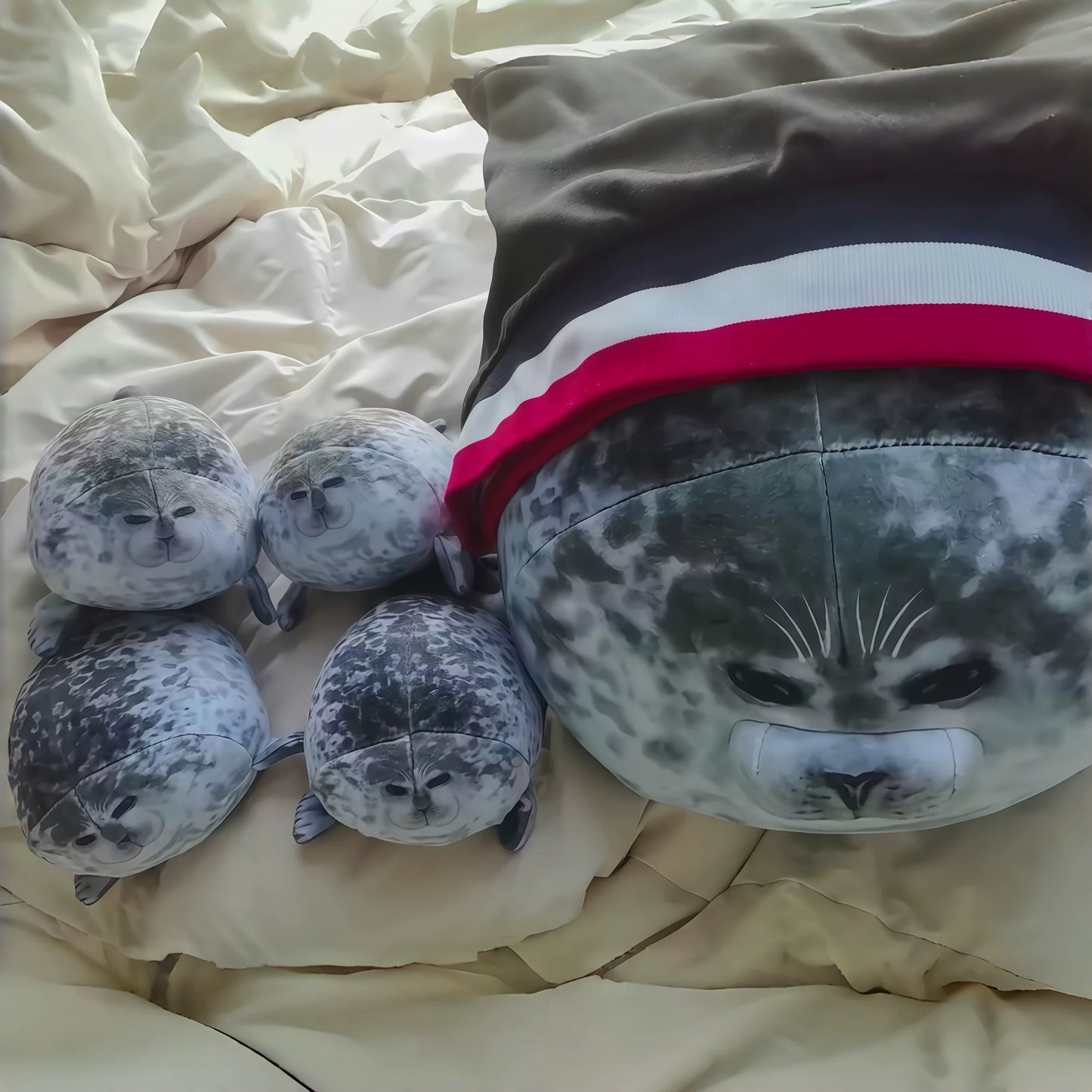 💓Mother of the seal🦭🦭🦭🦭💞