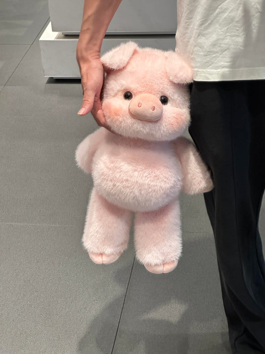 🐷🐽Pigpy 🐷