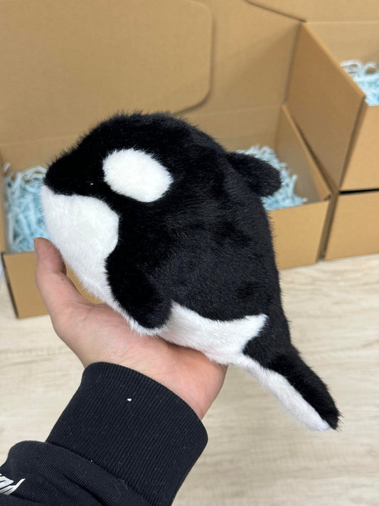 Orca