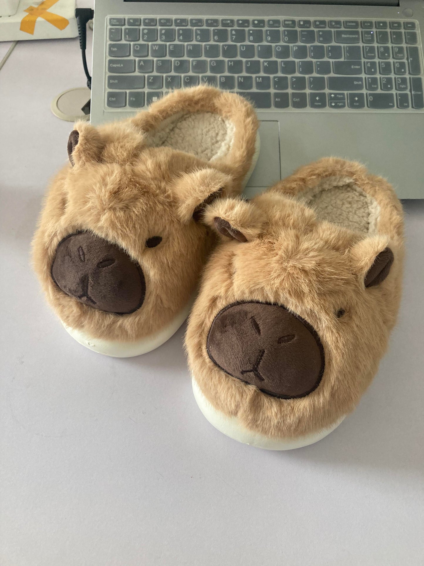 🤎Capybara shoes🤎