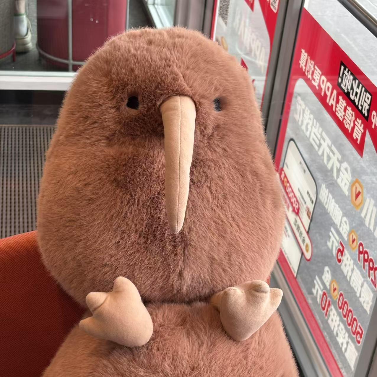 Kiwi bird🥝