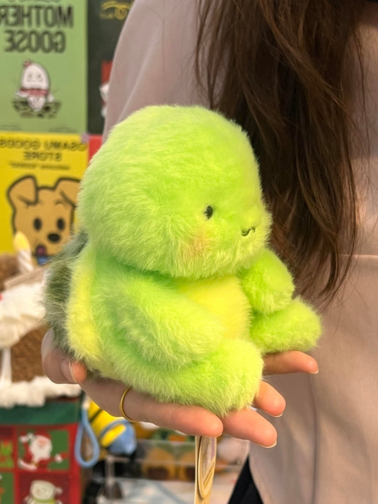 Turtle🐢