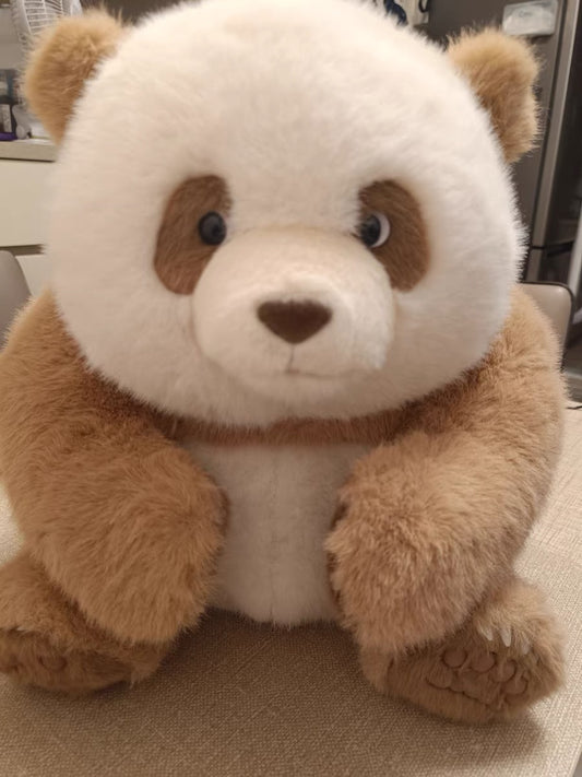 🤎Brown panda 🐼