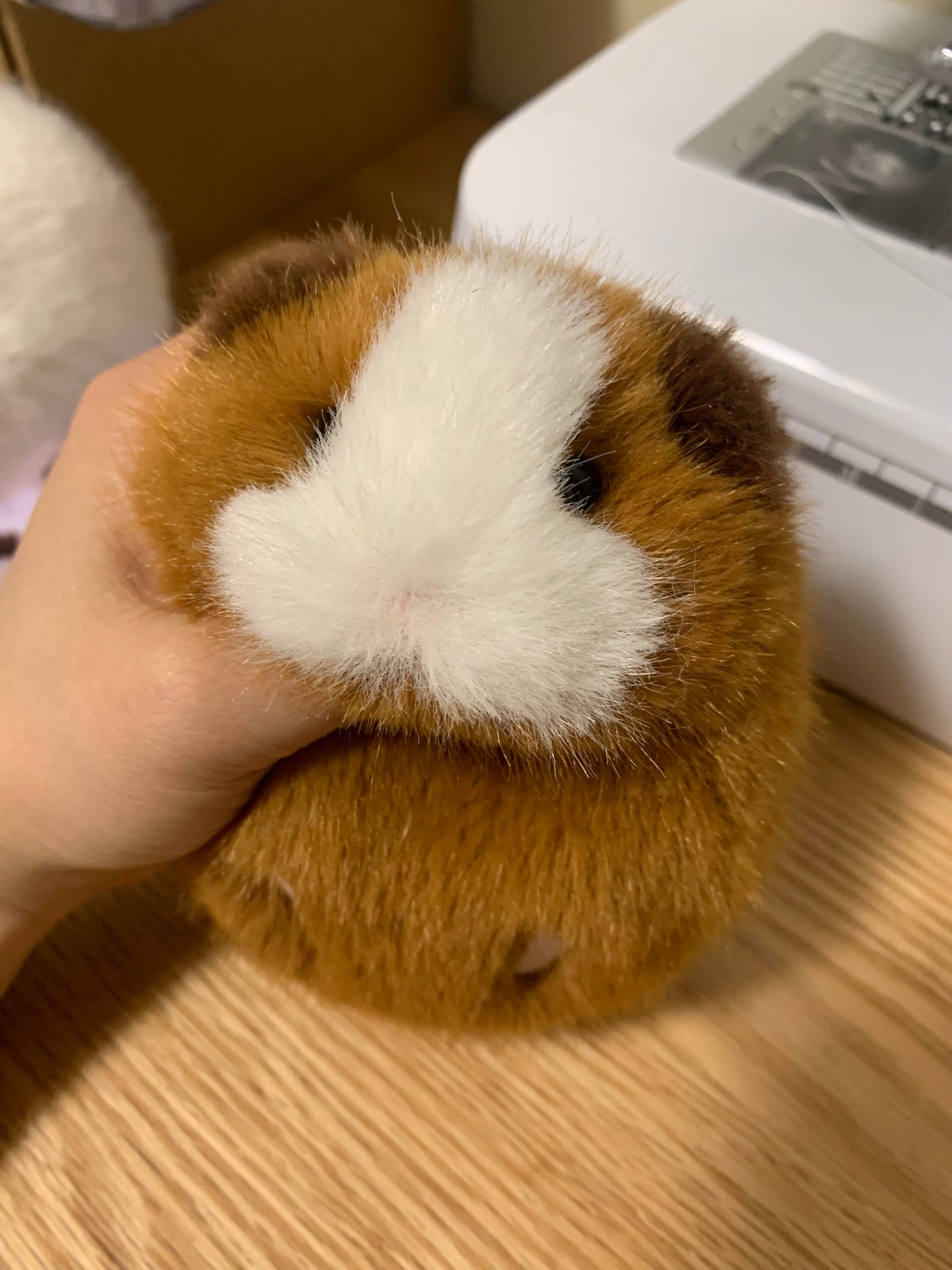 Cute Guinea Pig Plush Toy (Handmade)