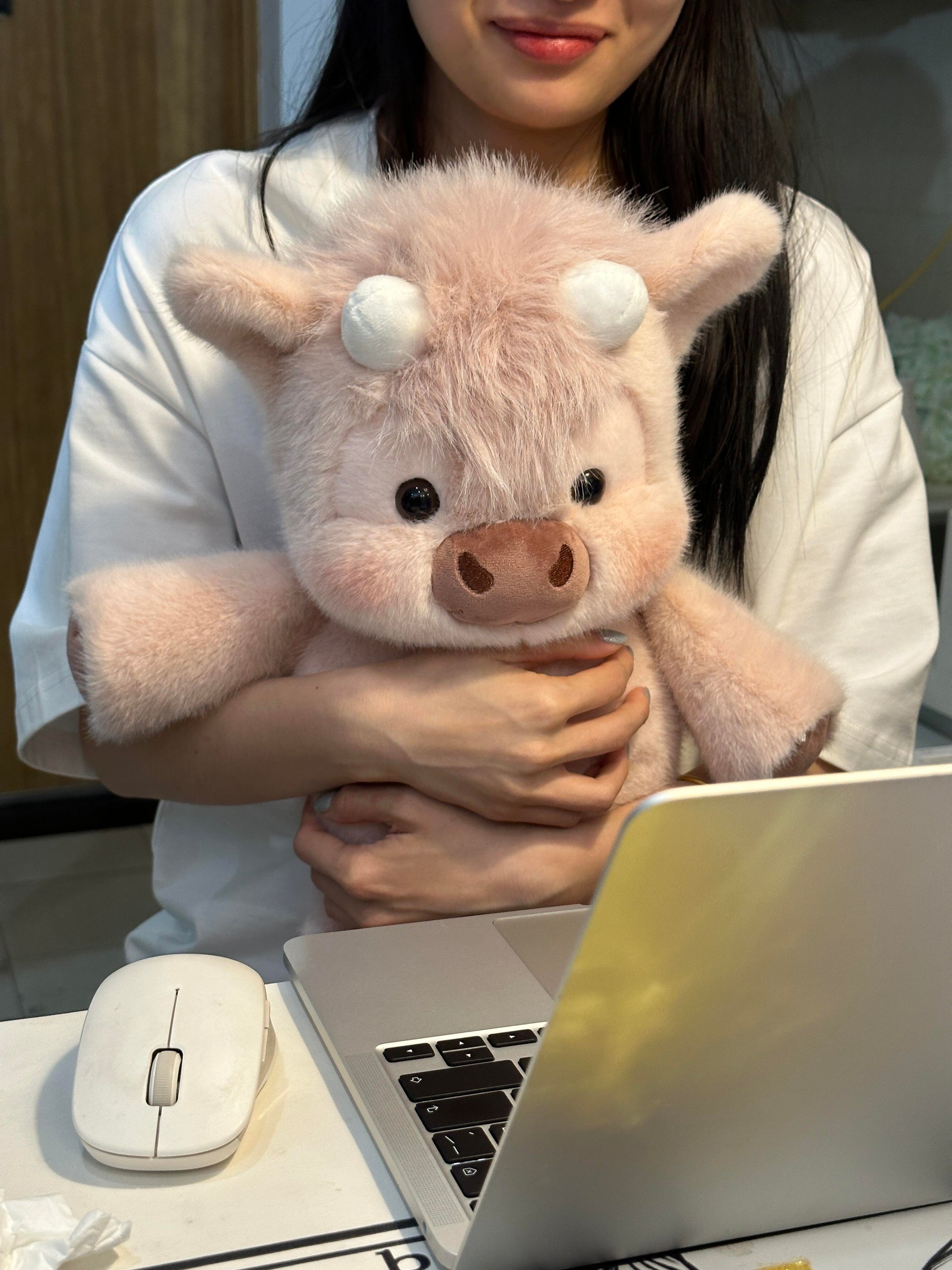๐๐Cows๐ฎ