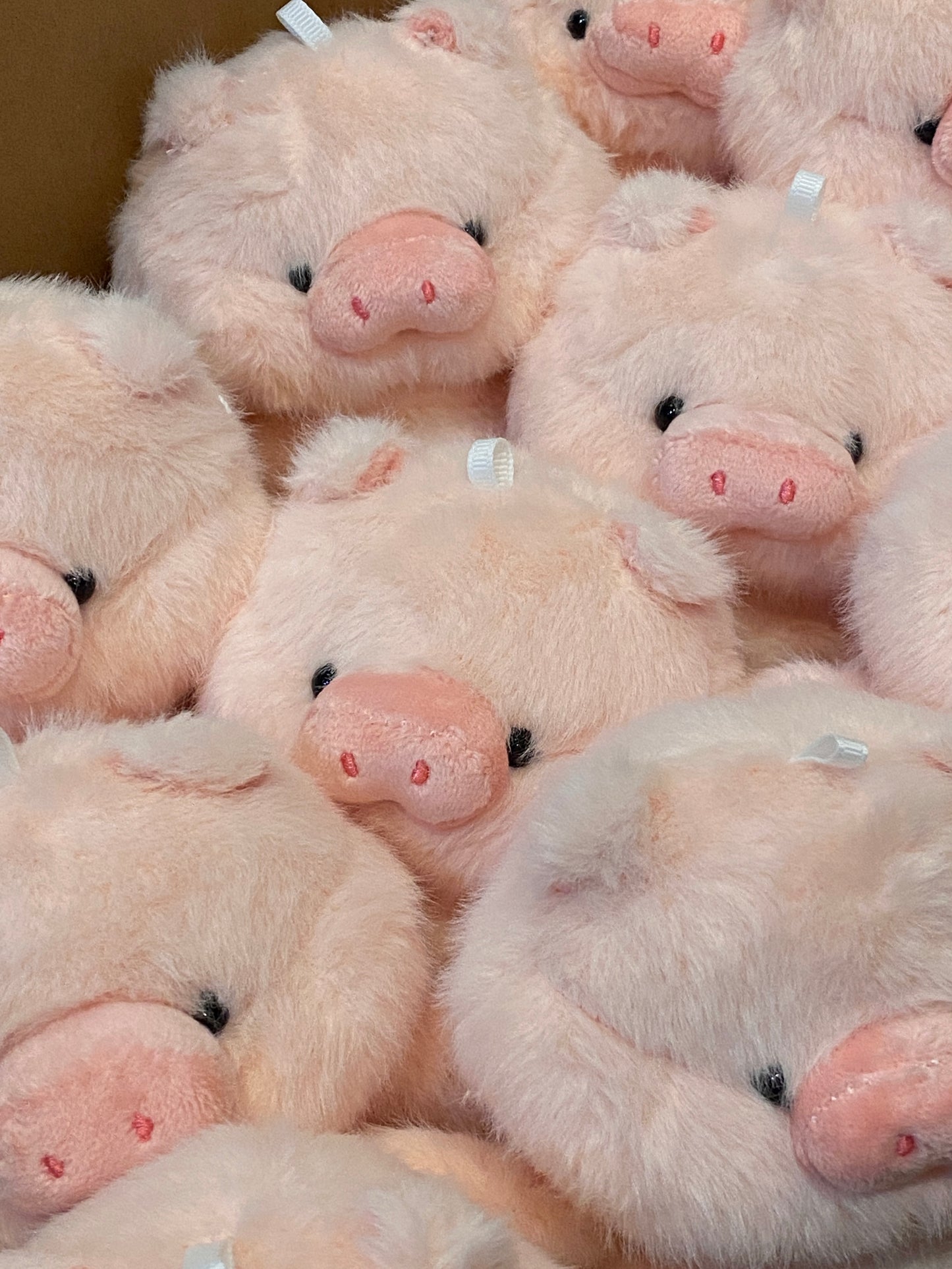 Mali the pig Keychain