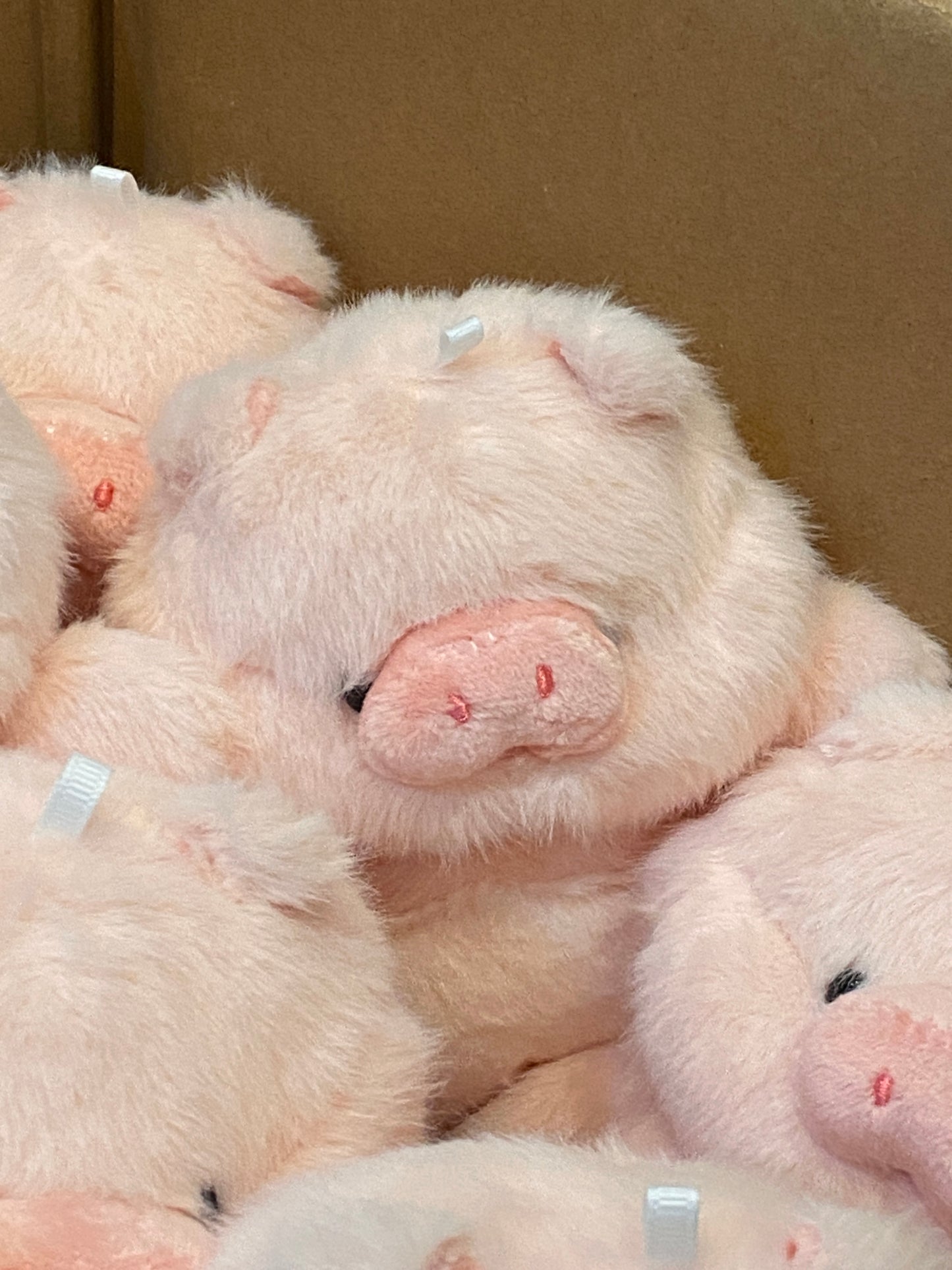 Mali the pig Keychain