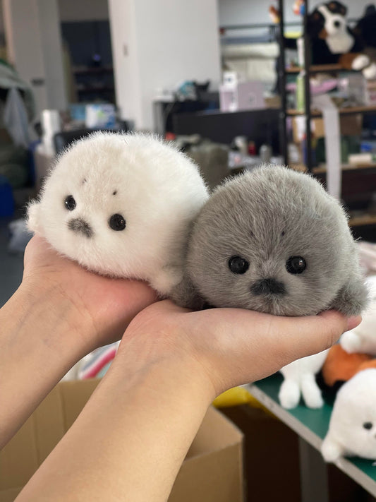Mini seals 🦭🩶🤍