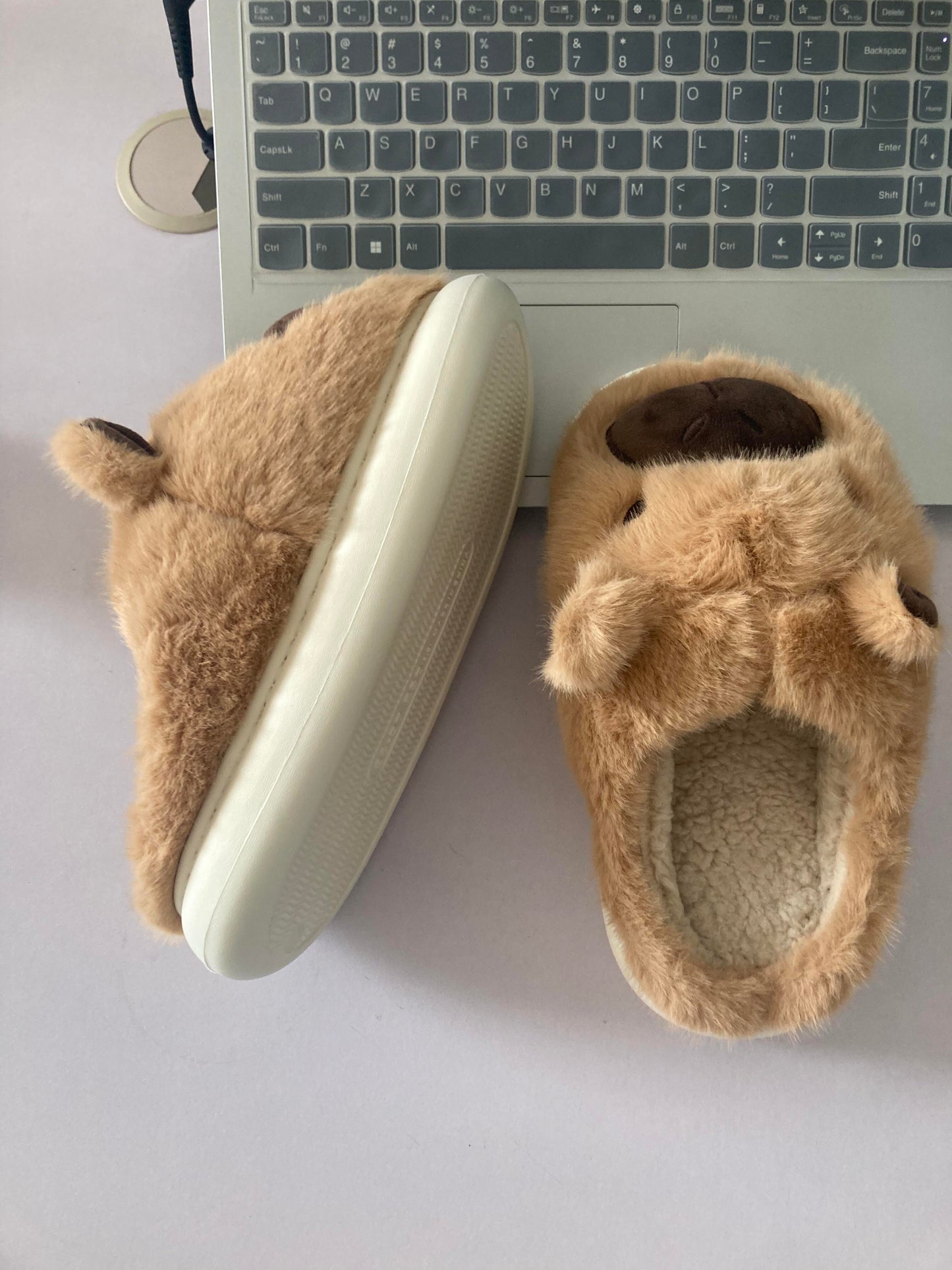 🤎Capybara shoes🤎