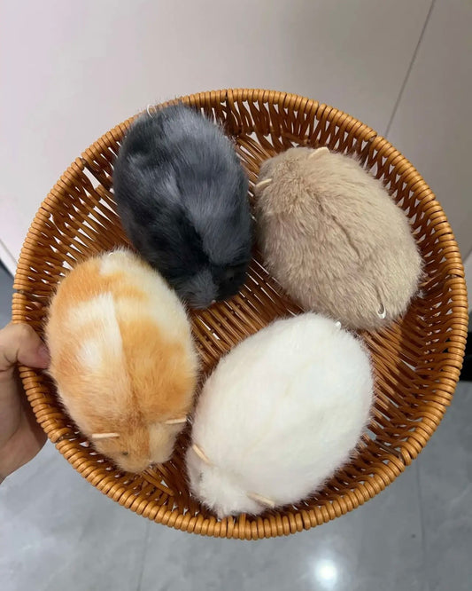 Hamster 🐹🐭