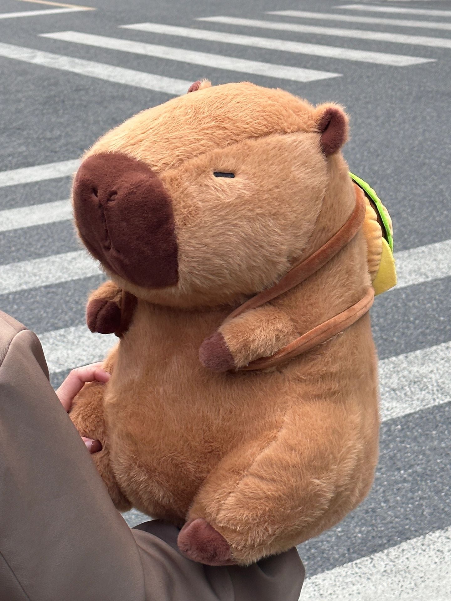 Capybara and burger bag🍔