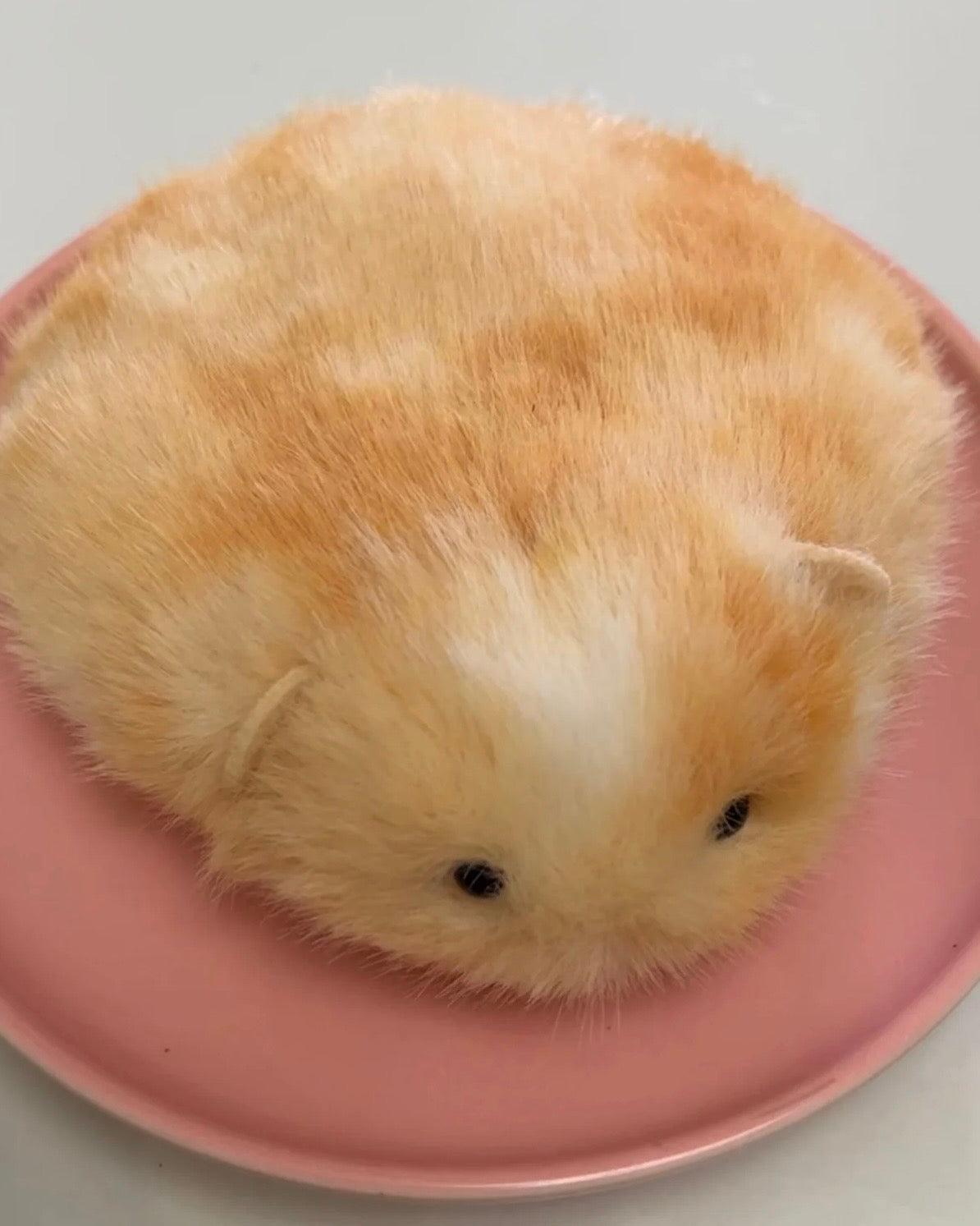 A super cute and irresistibly squishy handmade Mouse gift