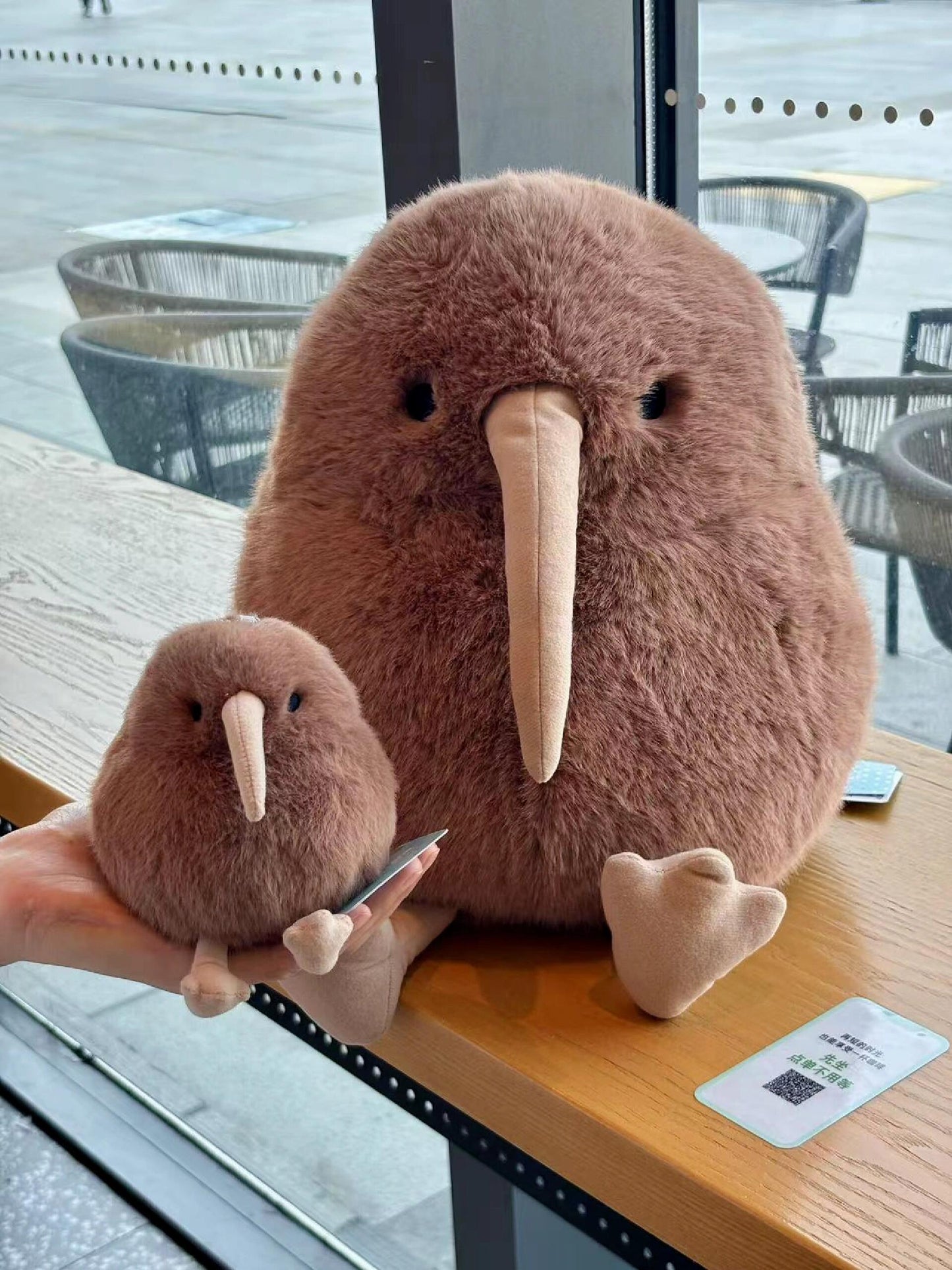 Kiwi bird🥝
