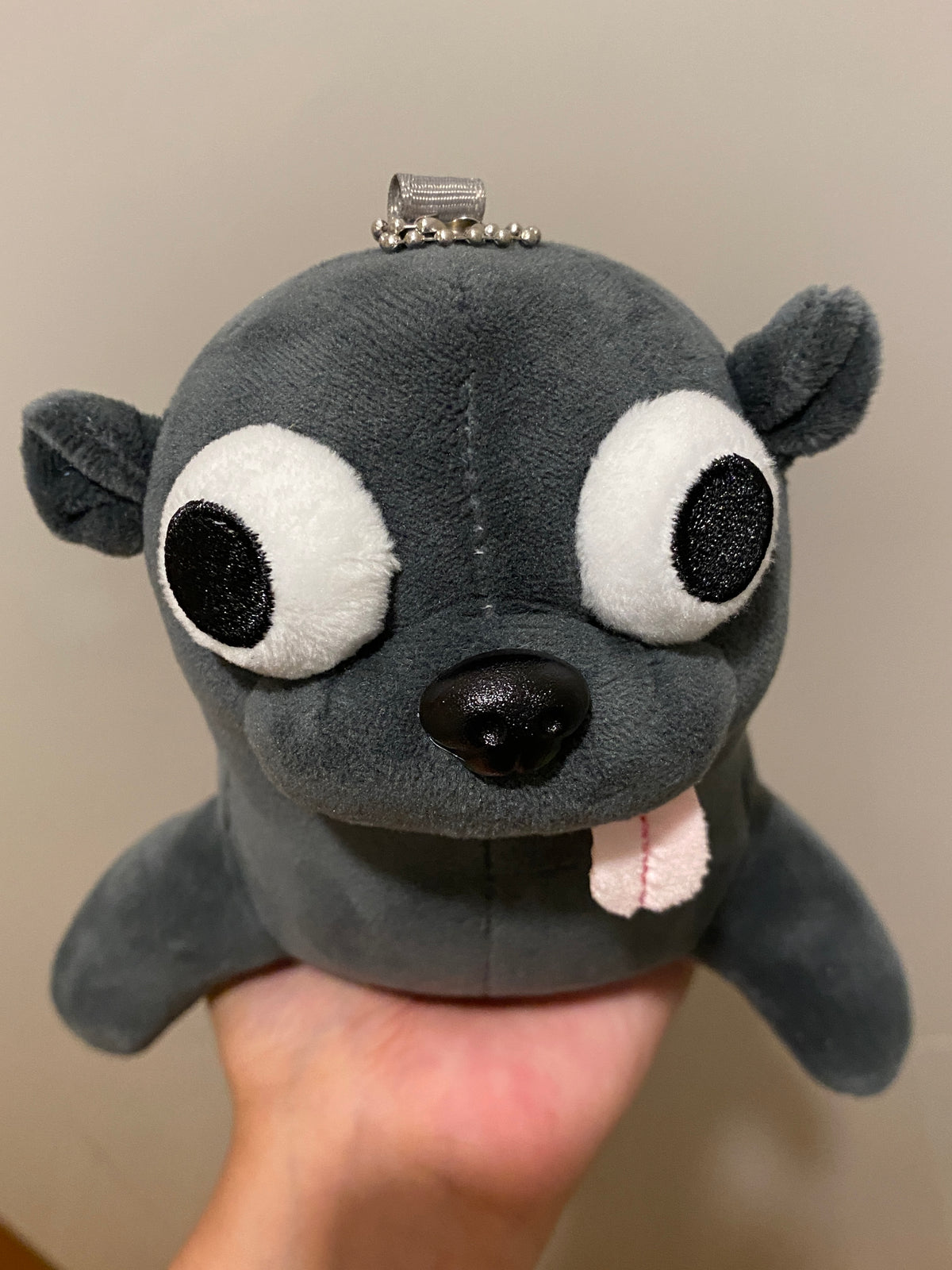 sea lion