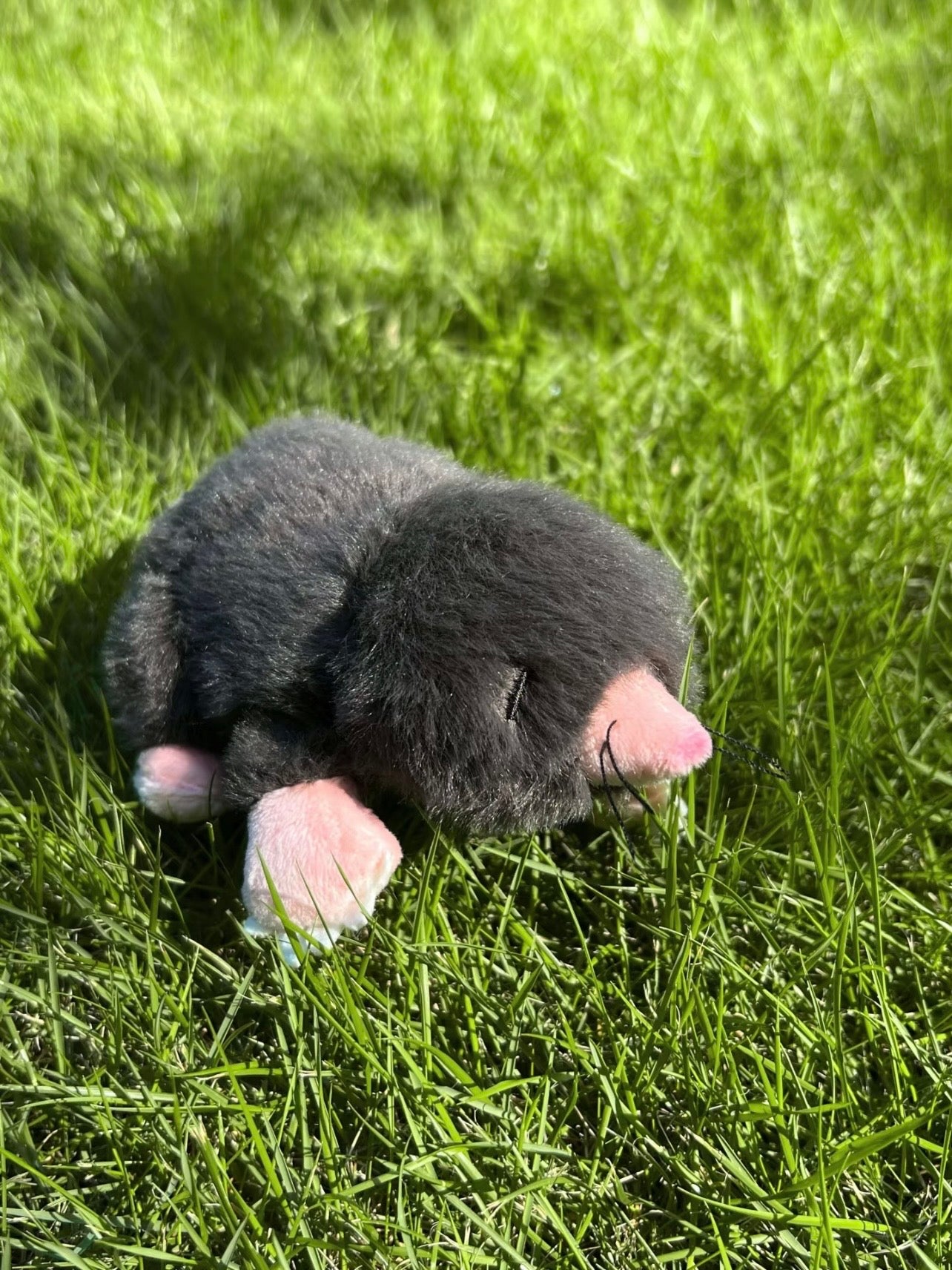 Ultra-Soft Realistic Mole Plush Companion Toy
