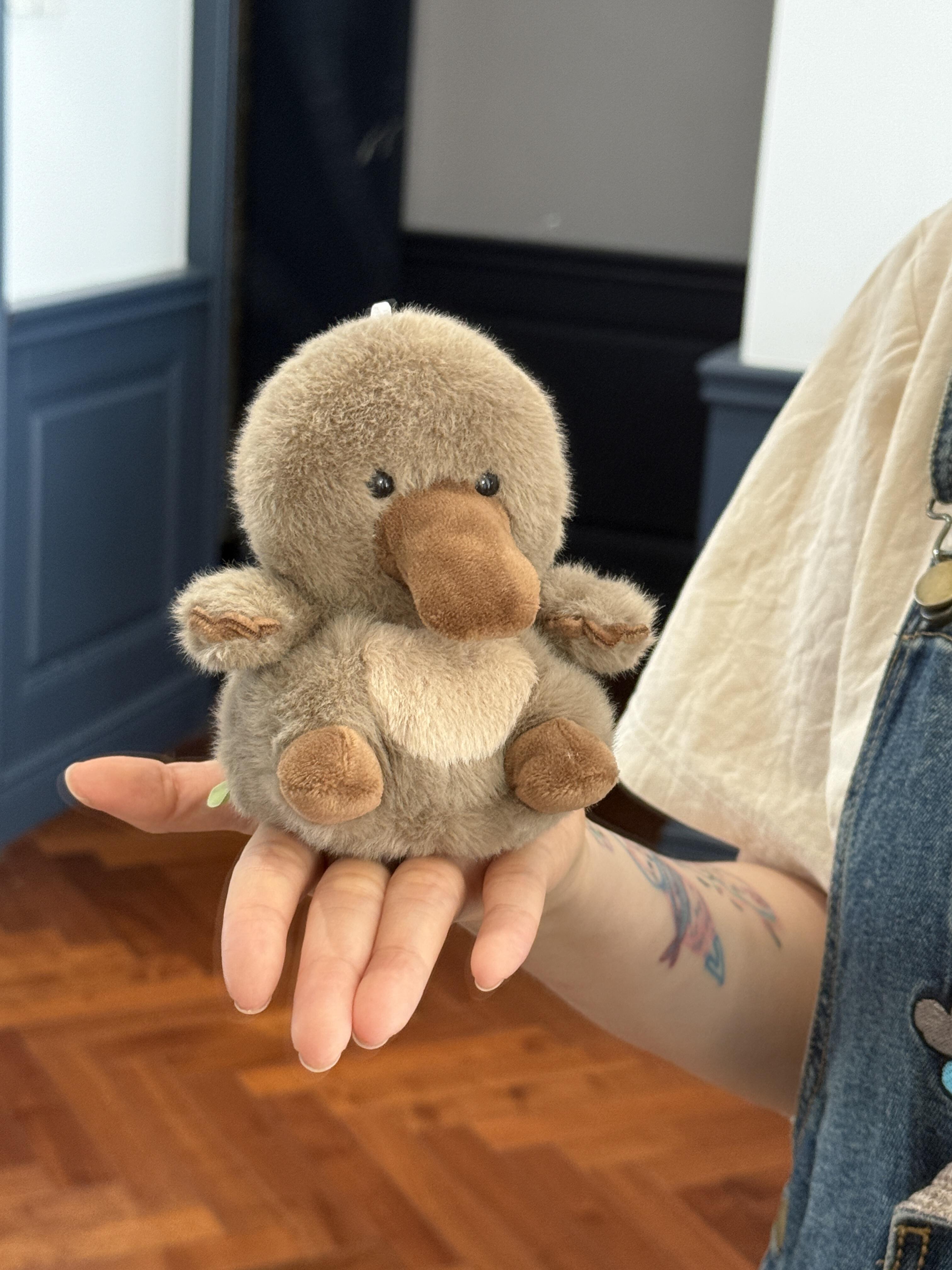 Mini platypus – NOTEMAN LOVELY STORE Co.,Ltd.