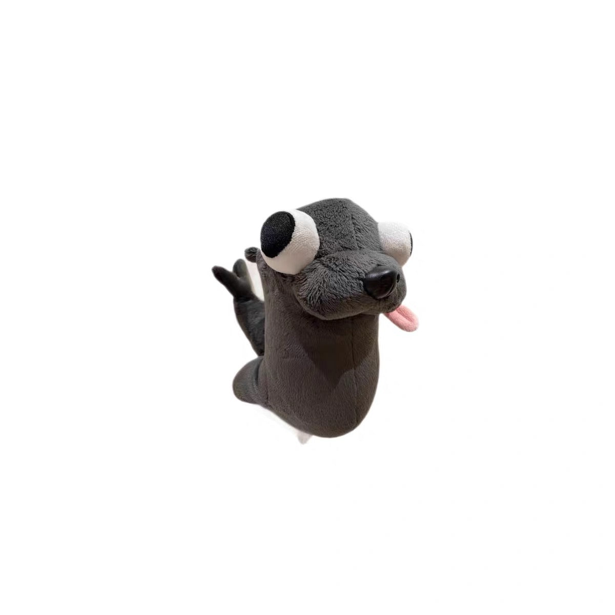 sea lion