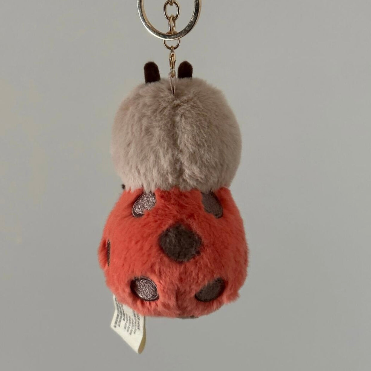 Ladybug keychain