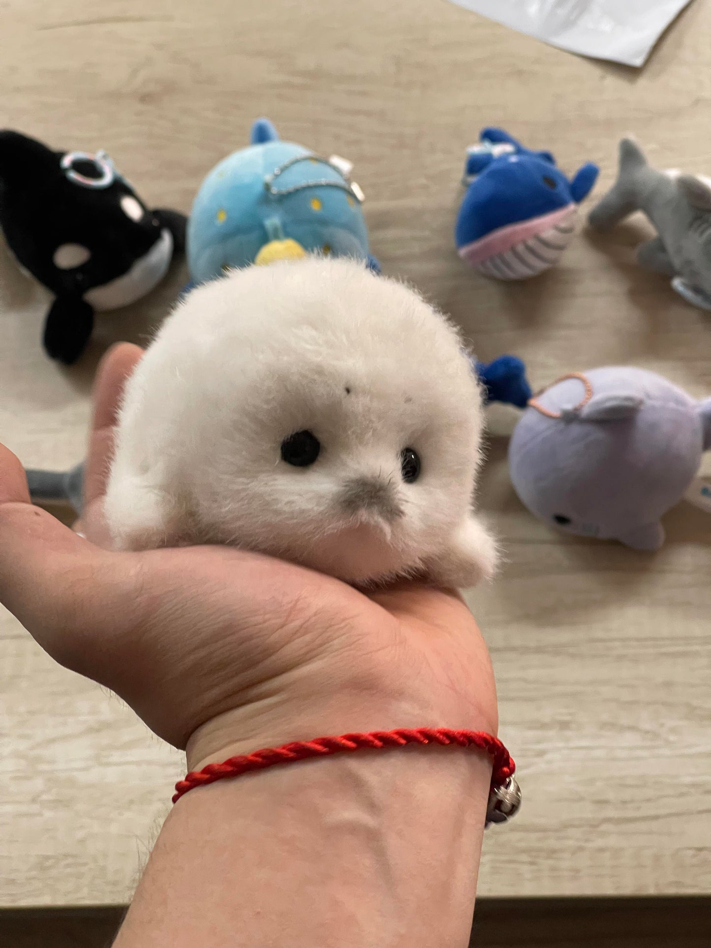 Mini seals v2🦭