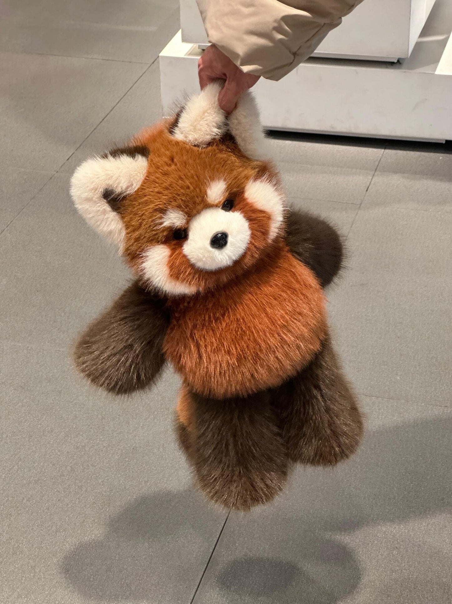 [Pre-orders]  Red Panda Fluffy 🐼🤎