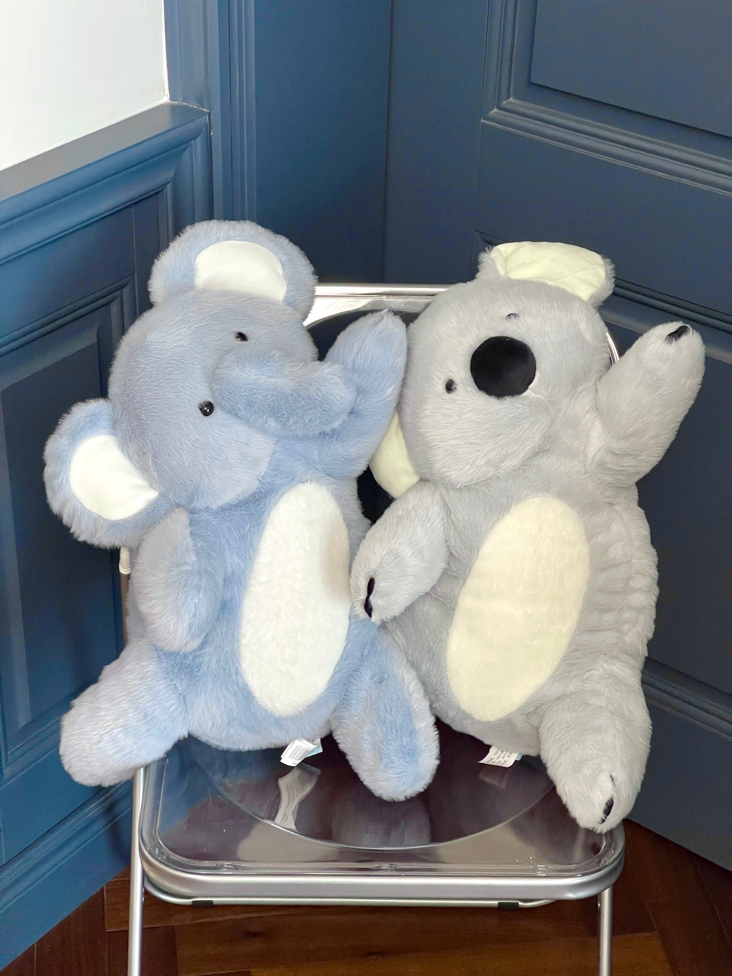 Elephant 🐘 & Koala 🐨