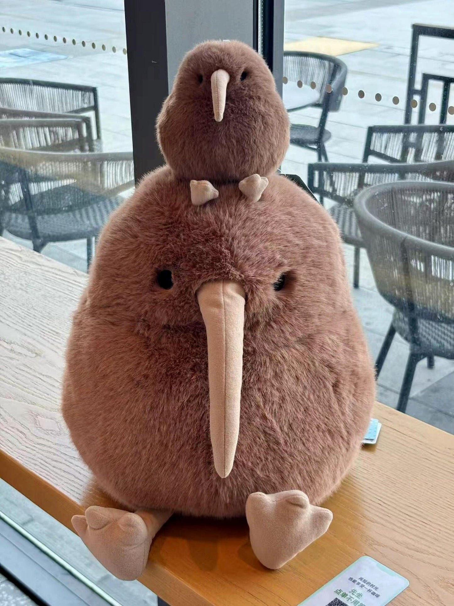 Kiwi bird🥝