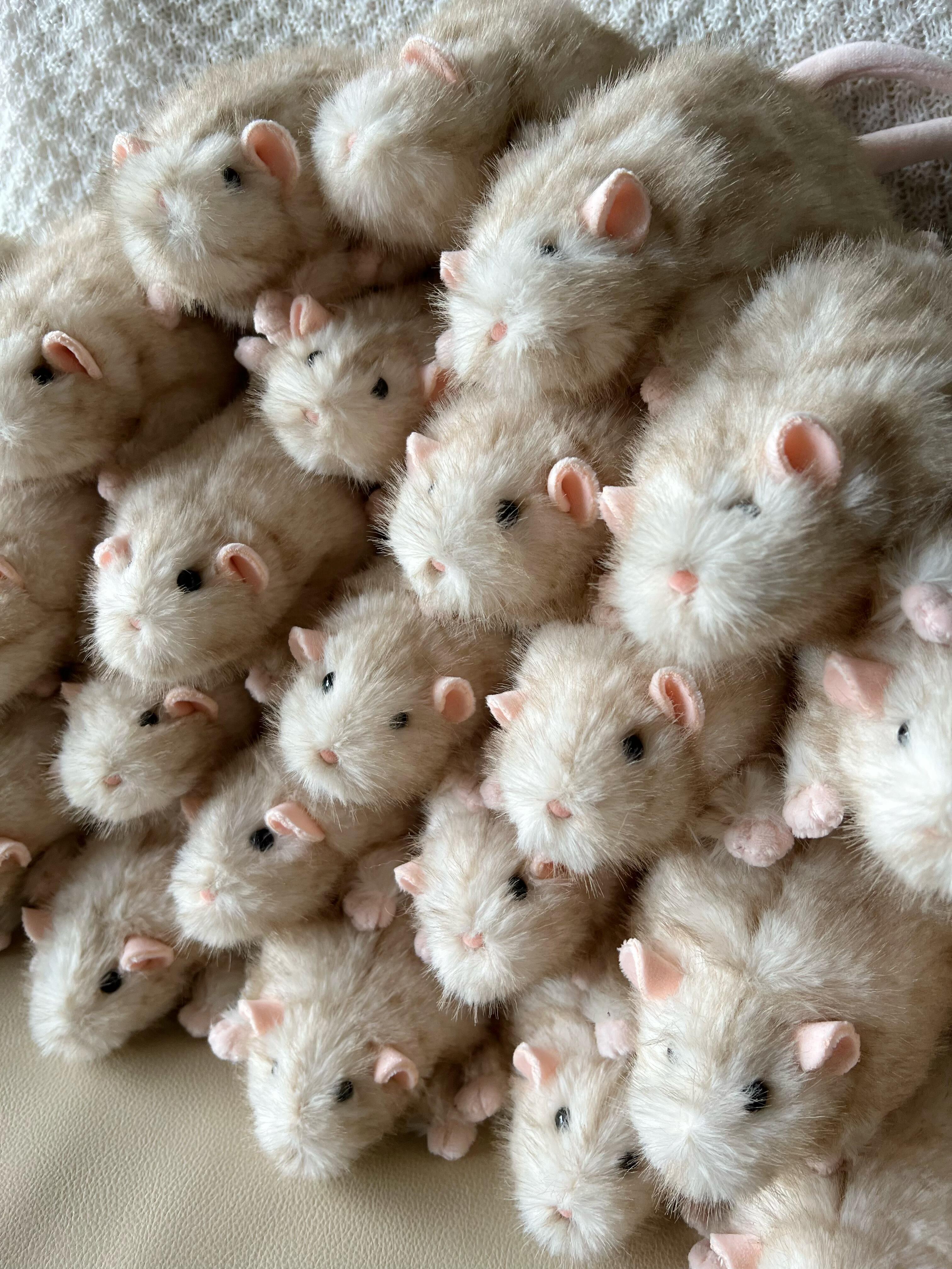 [Pre-order] The mouse is realistic 🐁Handmade – NOTEMAN LOVELY STORE Co ...