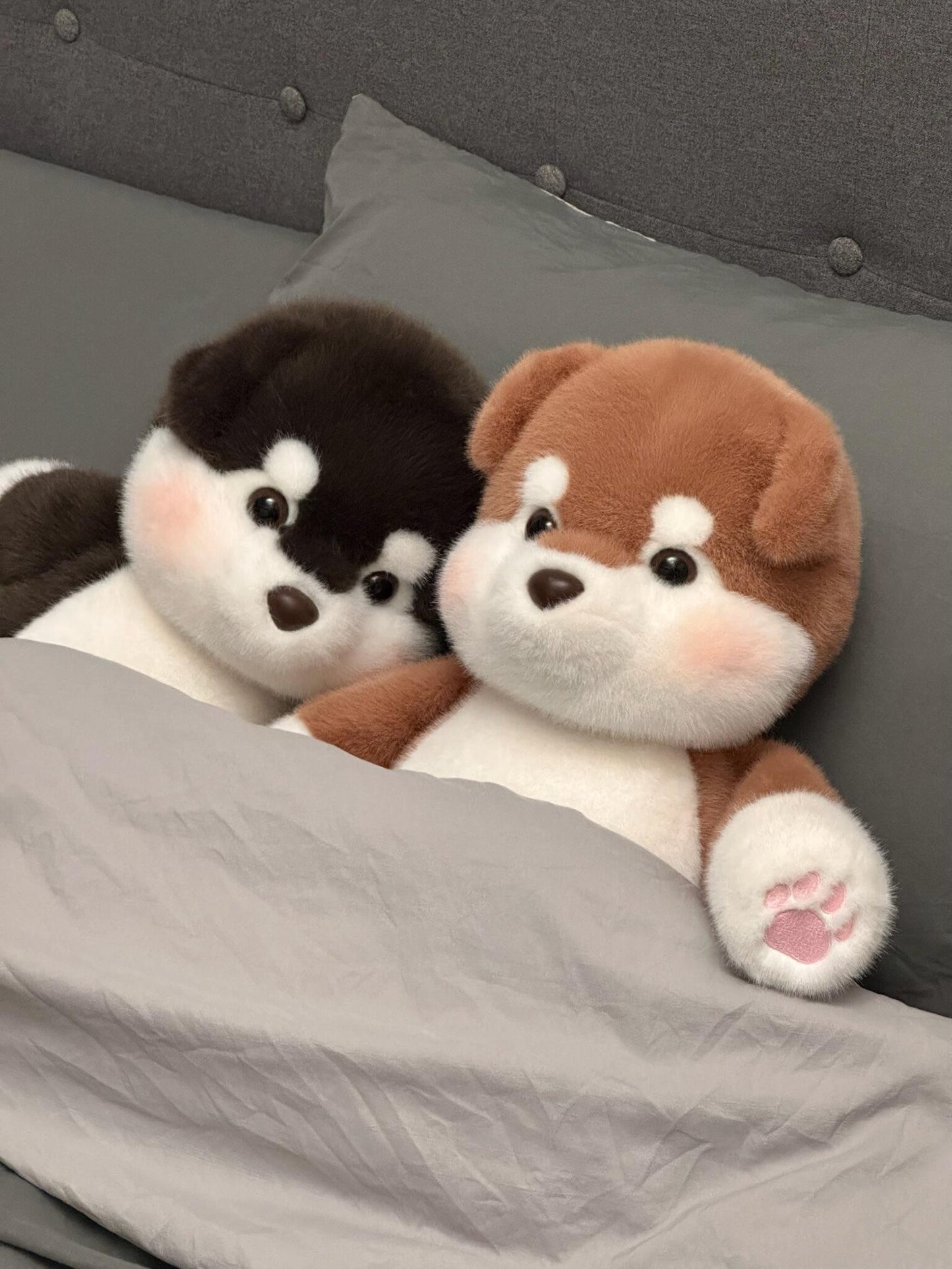 🐶 Puppy doll 🐶