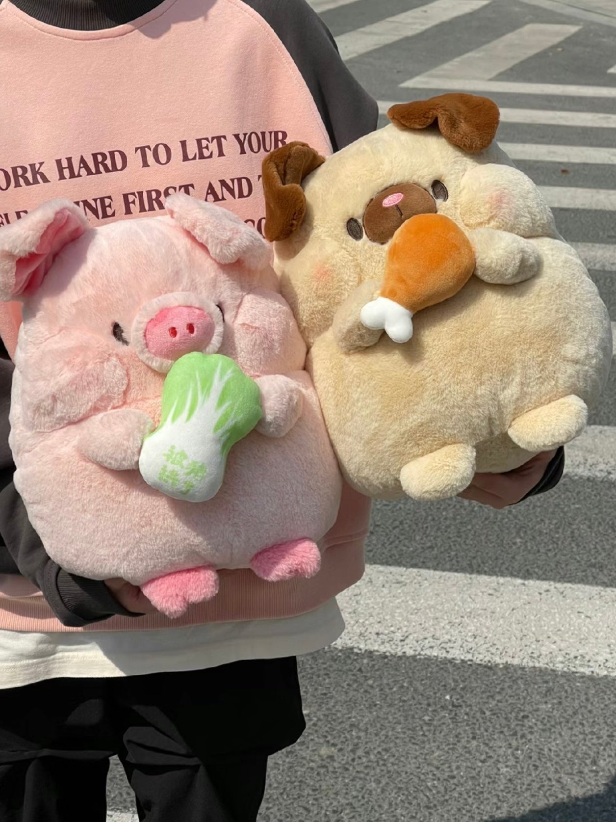 🐽Pig🥬 and 🐶Dog🍗