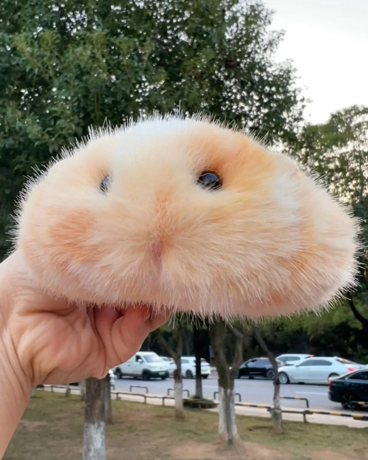 A super cute and irresistibly squishy handmade Mouse gift