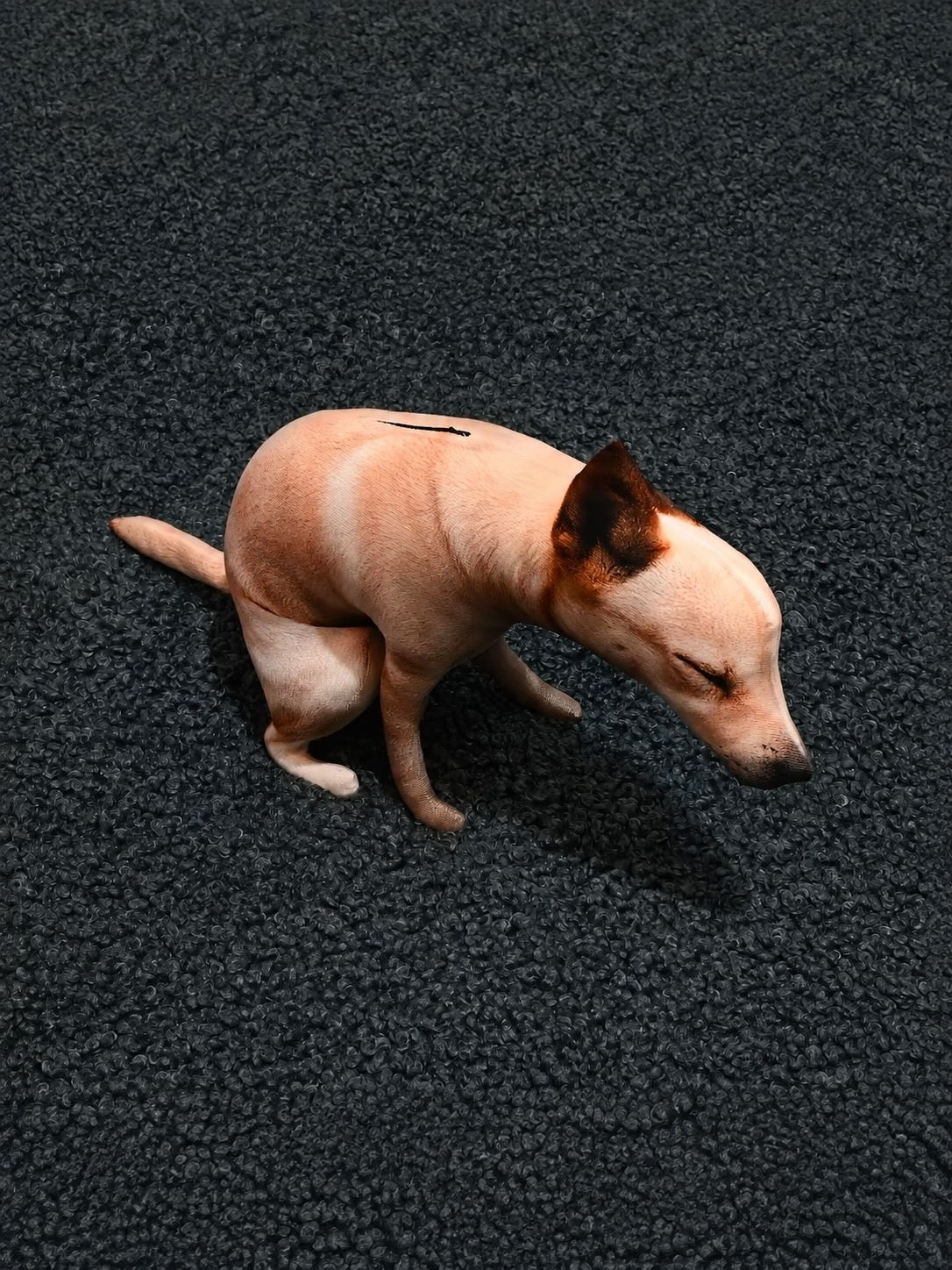 Dog 🐕