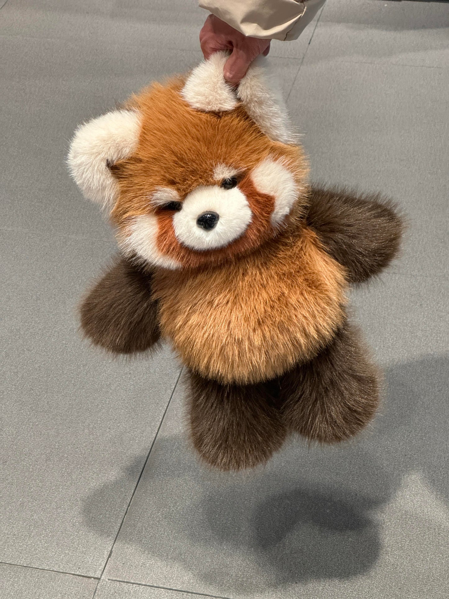 [Pre-orders]  Red Panda Fluffy 🐼🤎