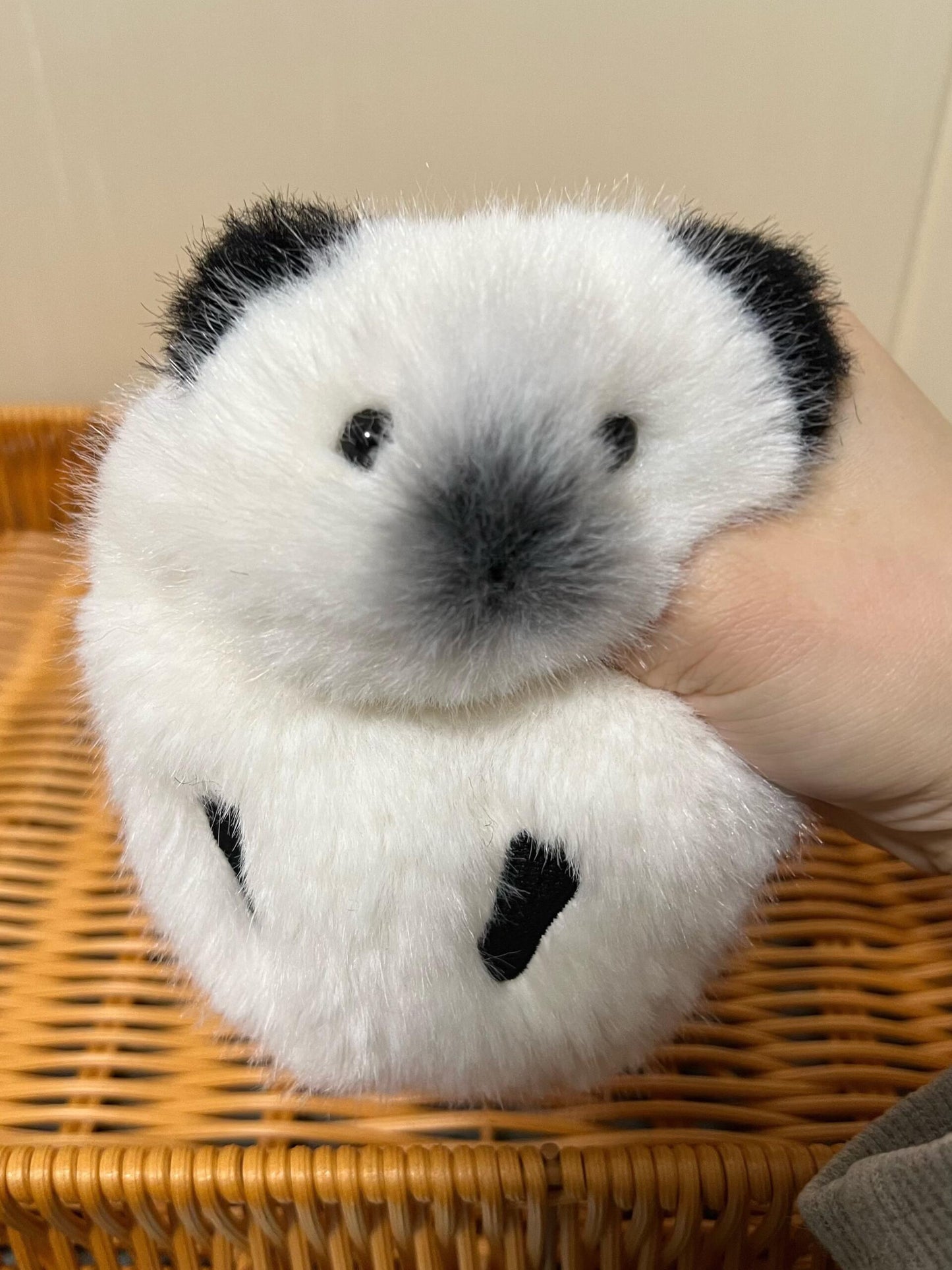 Cute Guinea Pig Plush Toy (Handmade)