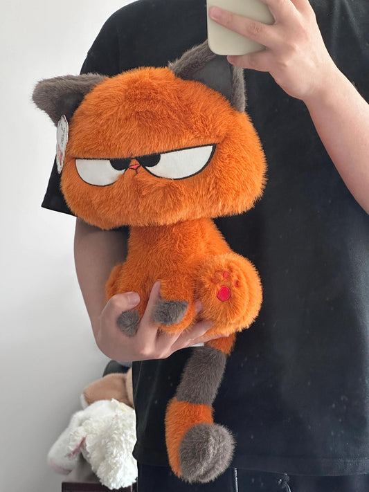 Angry Cat