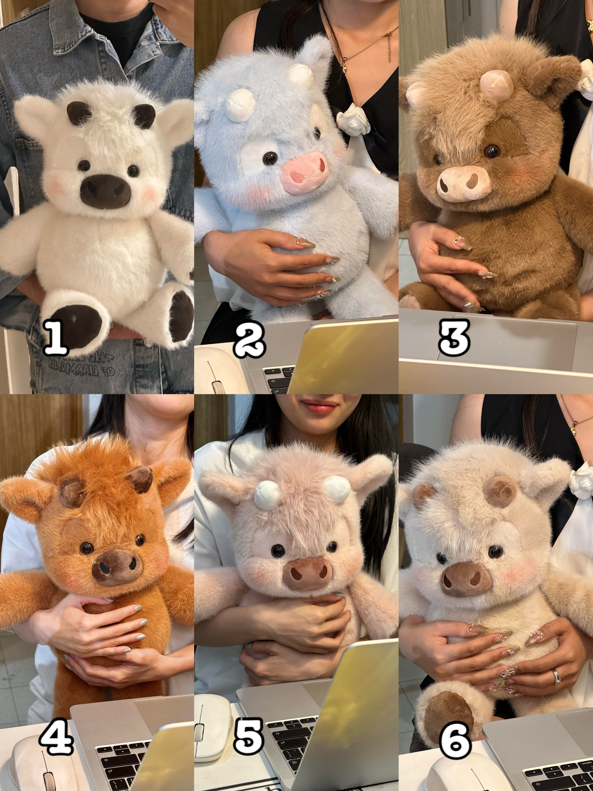 ๐๐Cows๐ฎ