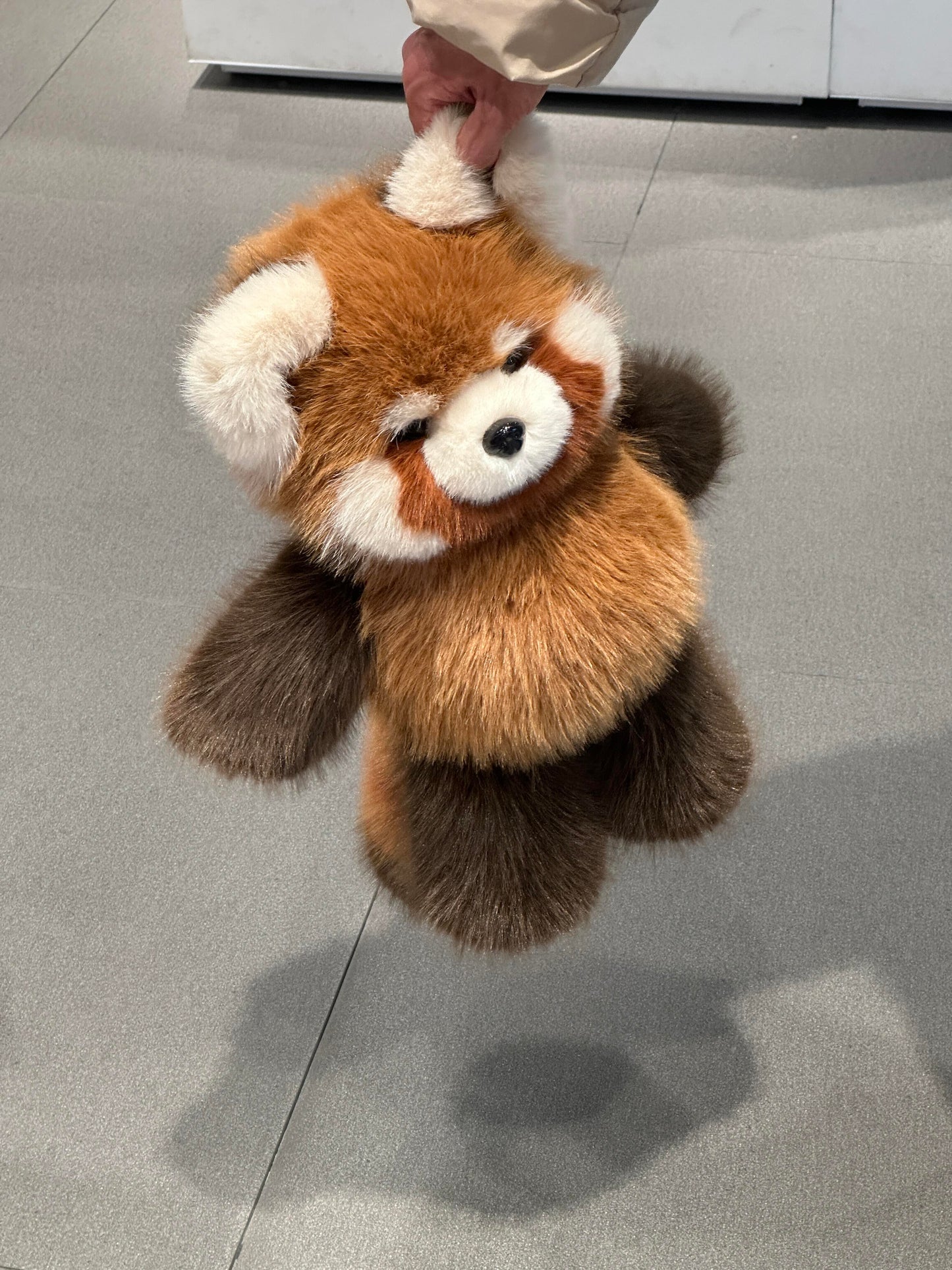 [Pre-orders]  Red Panda Fluffy 🐼🤎