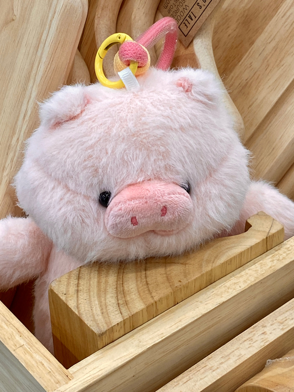 Mali the pig Keychain