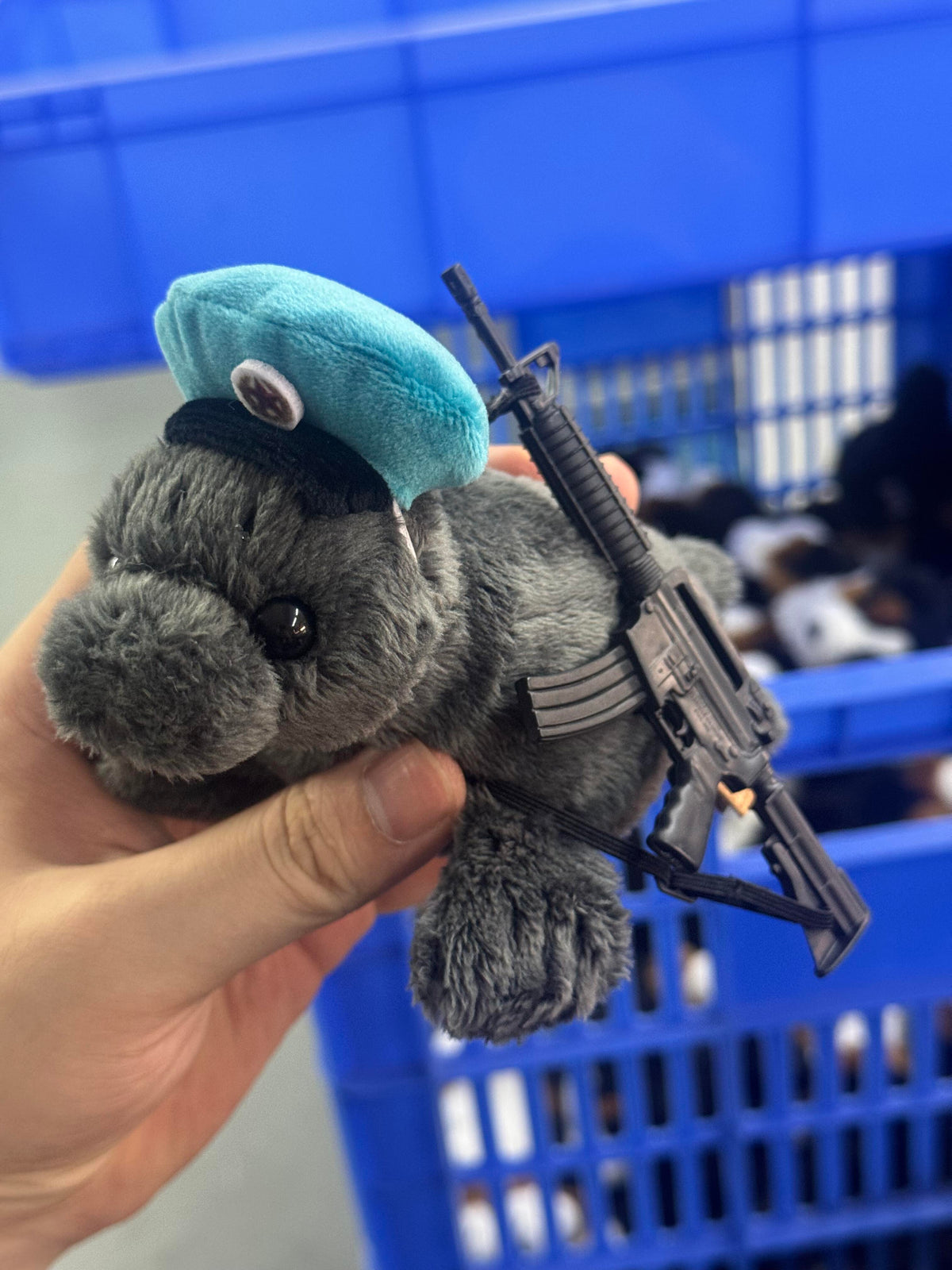 Seal 🦭🔫