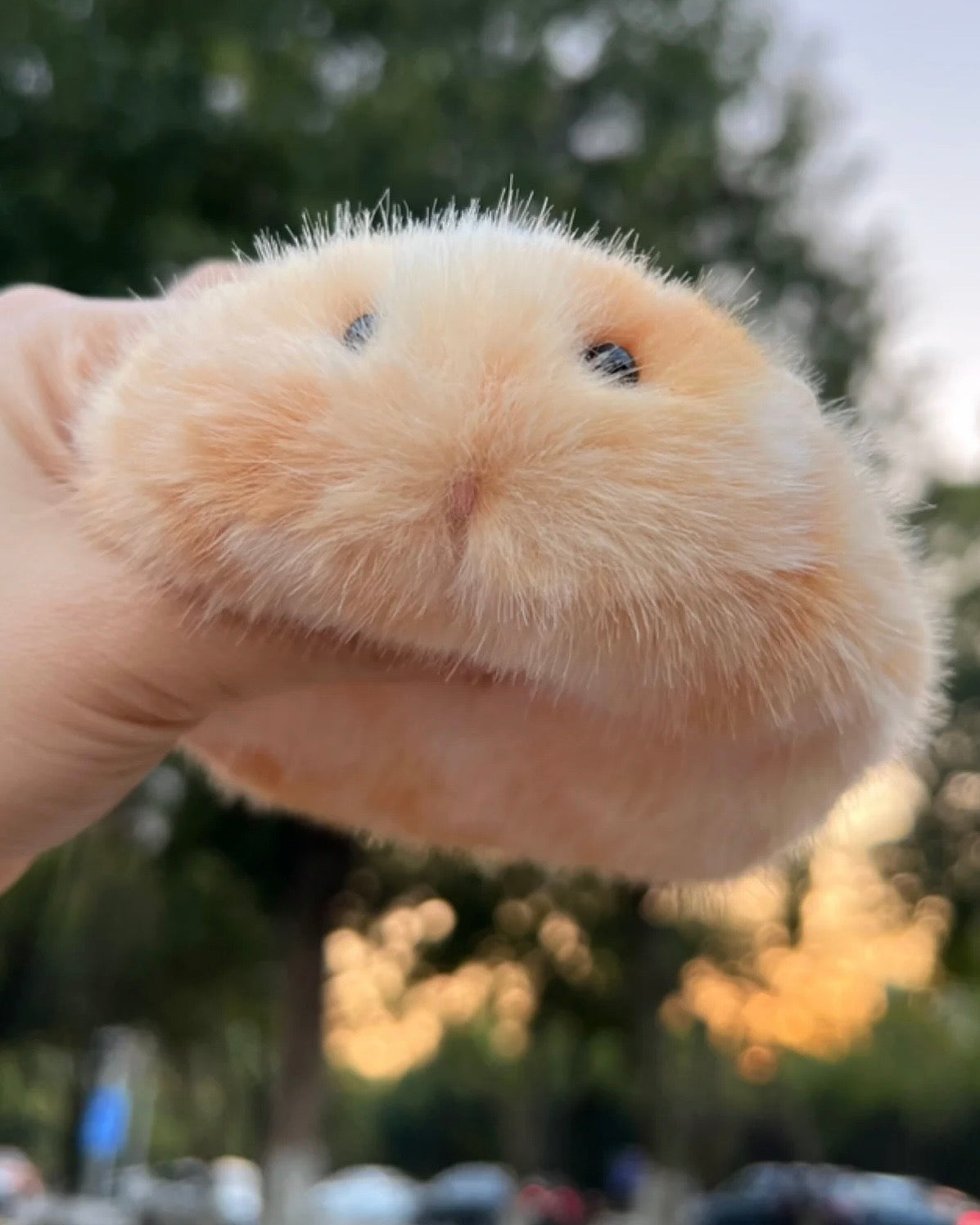 A super cute and irresistibly squishy handmade Mouse gift