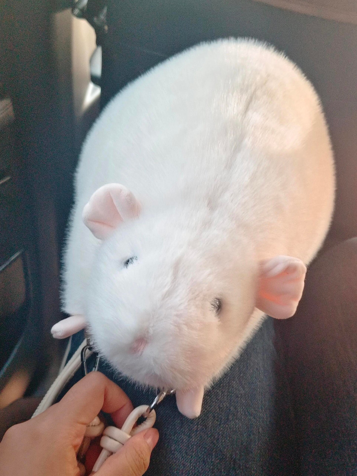 🧸 Soft Fufu Simulated Fancy Rat - A Handcrafted Item