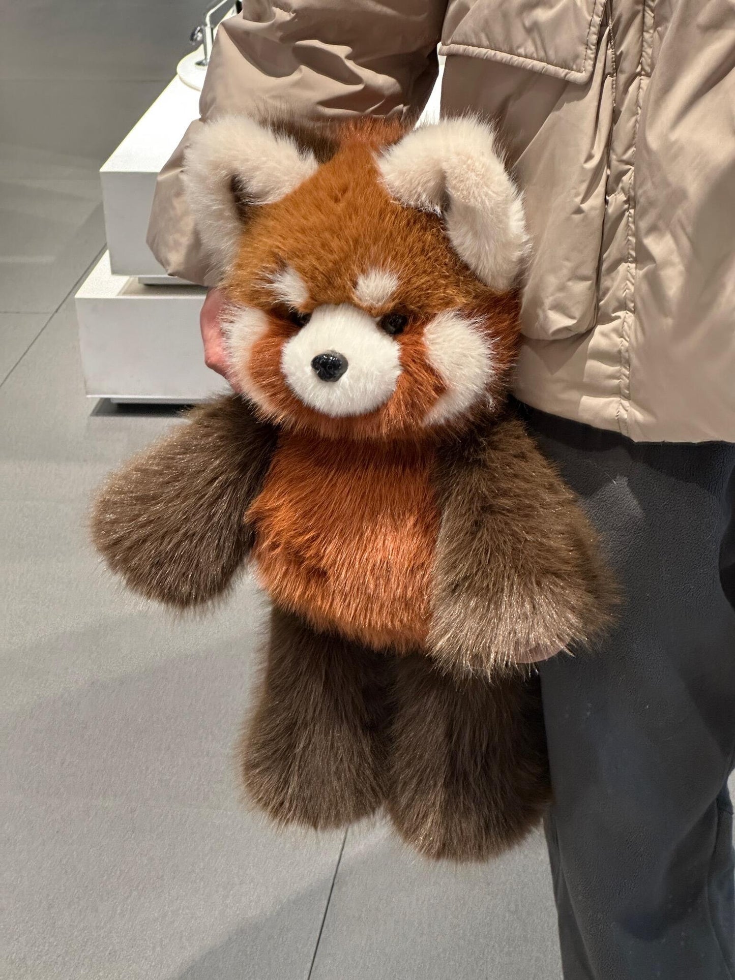 [Pre-orders]  Red Panda Fluffy 🐼🤎