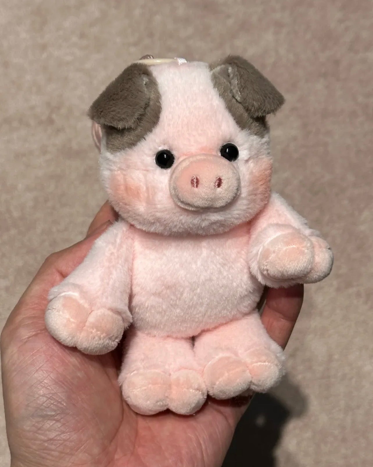 Adorable doll keychain🐽🐼🐮💓💞