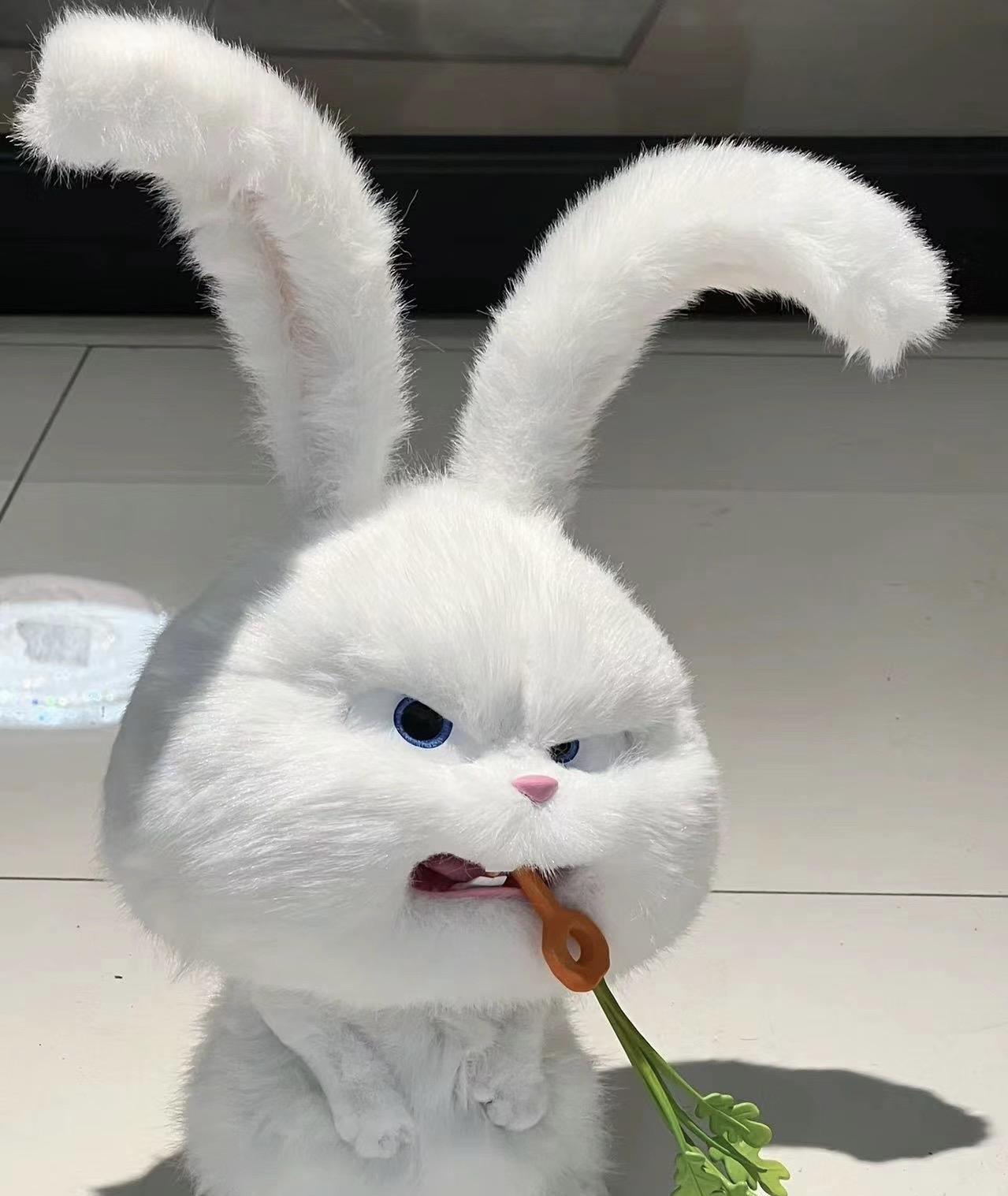 Snowball rabbit N O T E M A N Shop