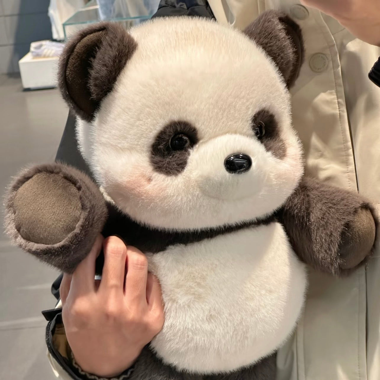 Baby Panda Soft Toy