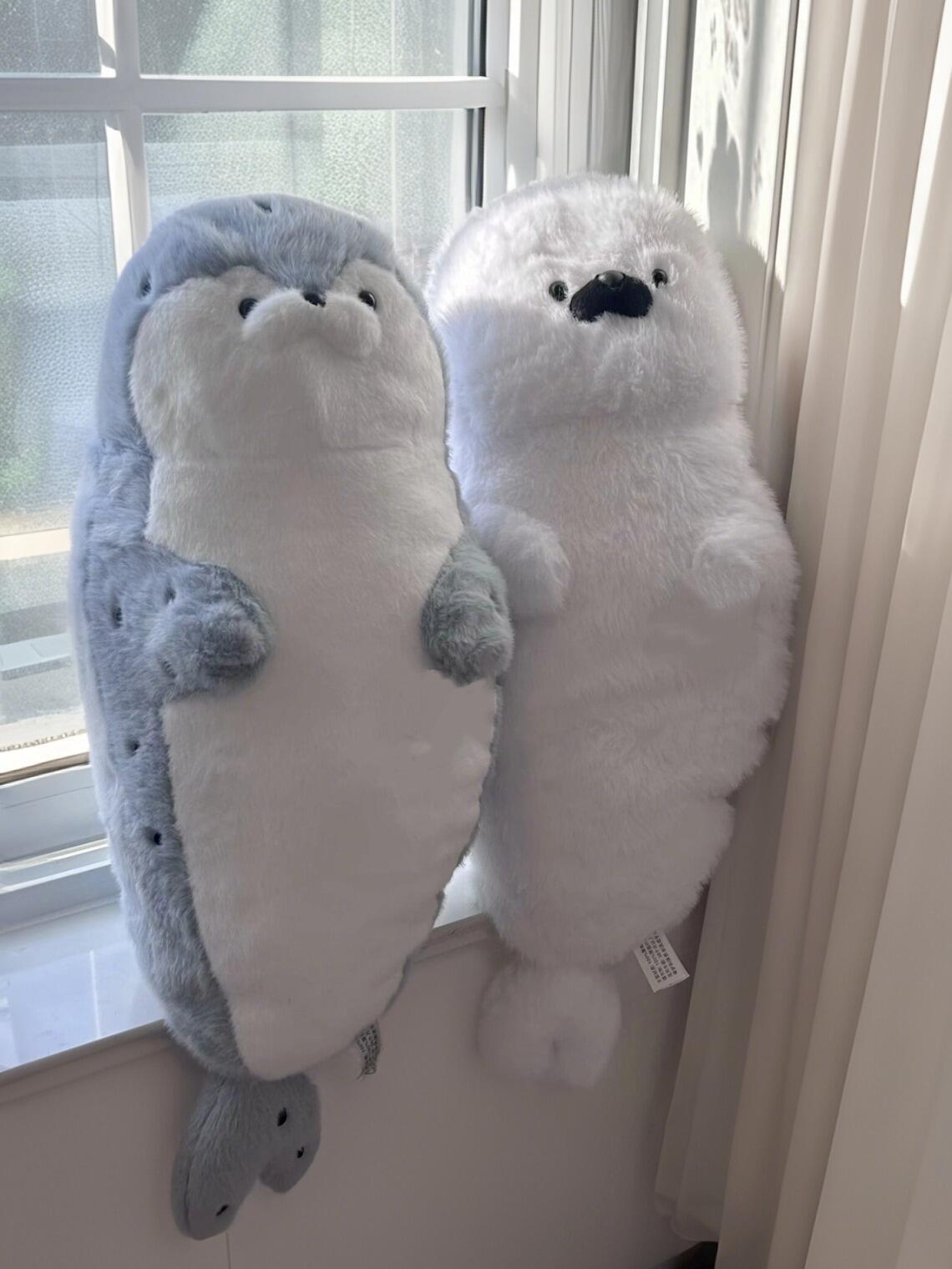 Seal 🦭🩵🤎🤍